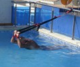 /album/fotogaleria-galeria-de-imagenes/piscina1-jpg/